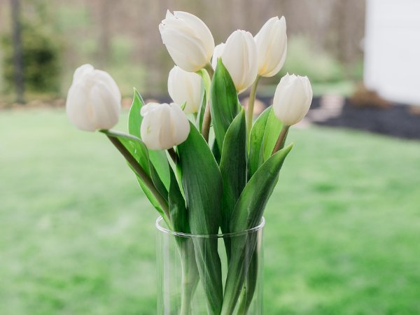 White tulips displayed in a glass vase by Selah Floral Studio for a Central Pennsylvania wedding.