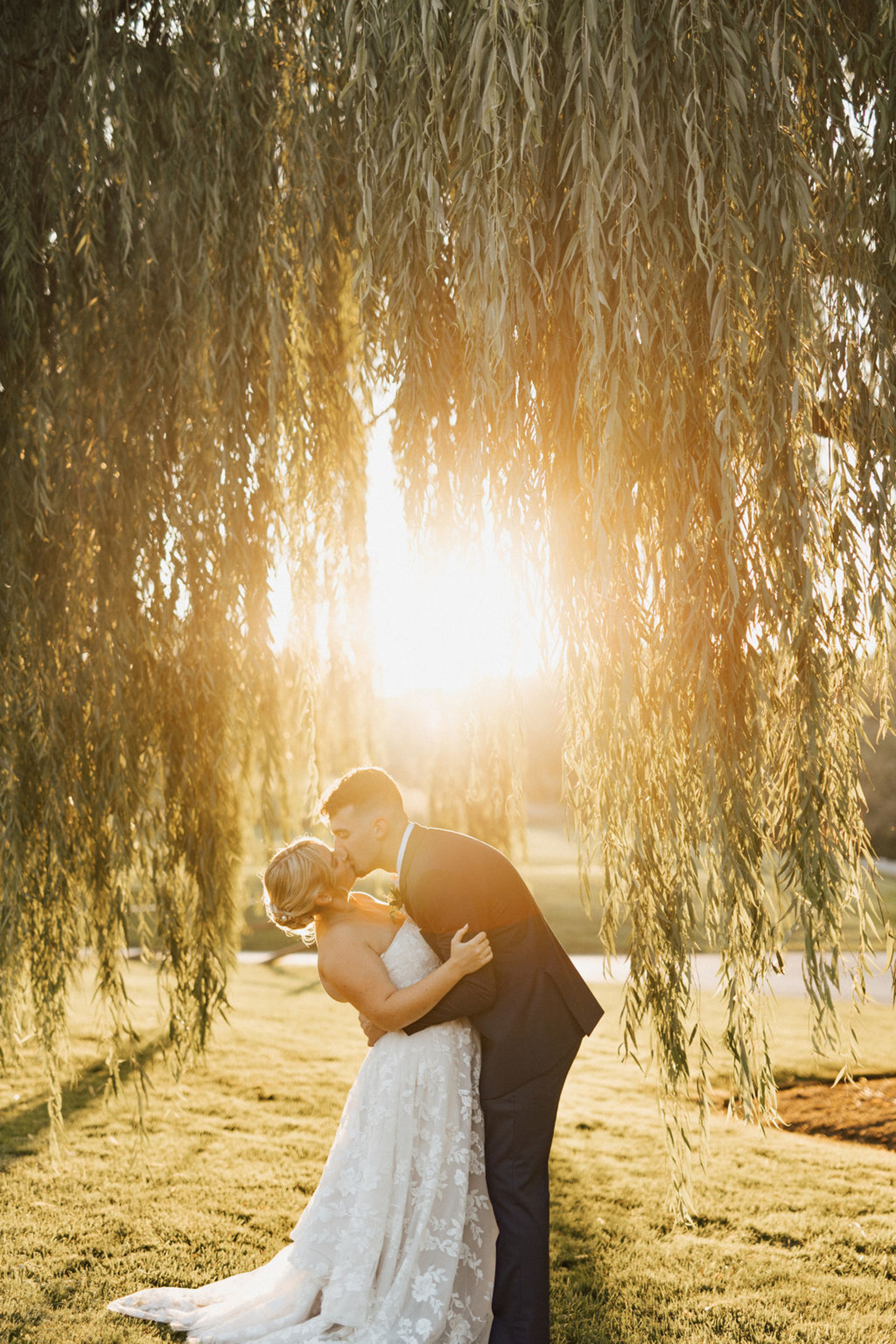 Central PA newlywed bride and groom kissing under a tree's weeping branches in the glow of the sunlight