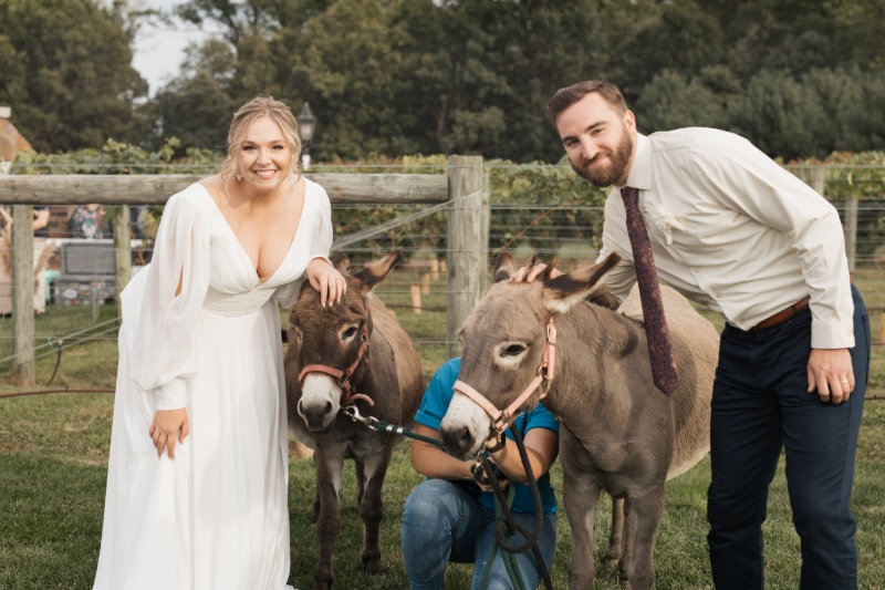Bride and groom posing with two donkeys beside the vineyard during their fall wedding at St. Michael’s Vineyard.