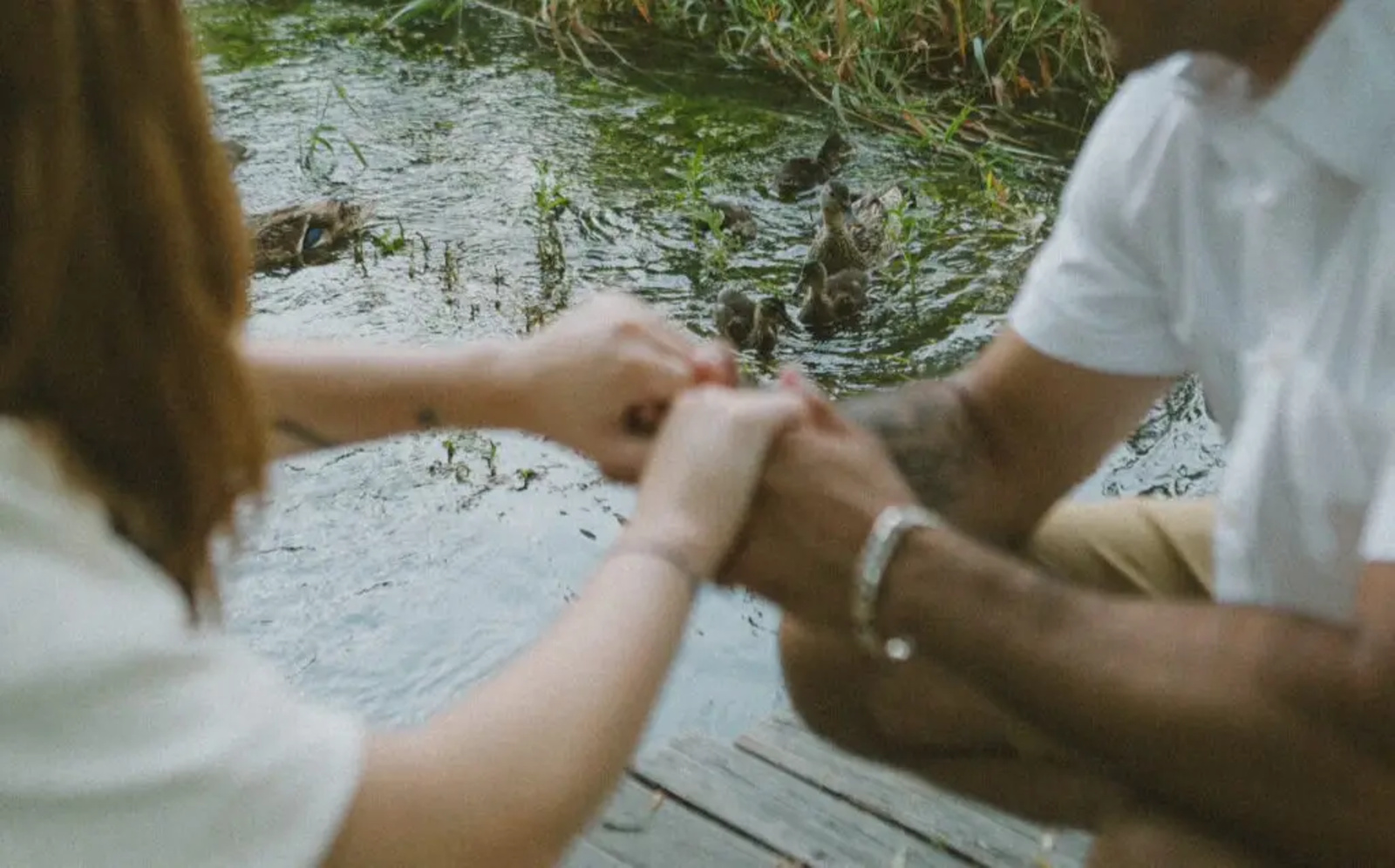 Close-up of a couple holding hands beside the gentle waters of Letort Spring Garden Preserve in Carlisle, PA, with ducks swimming nearby during their summer engagement photos.