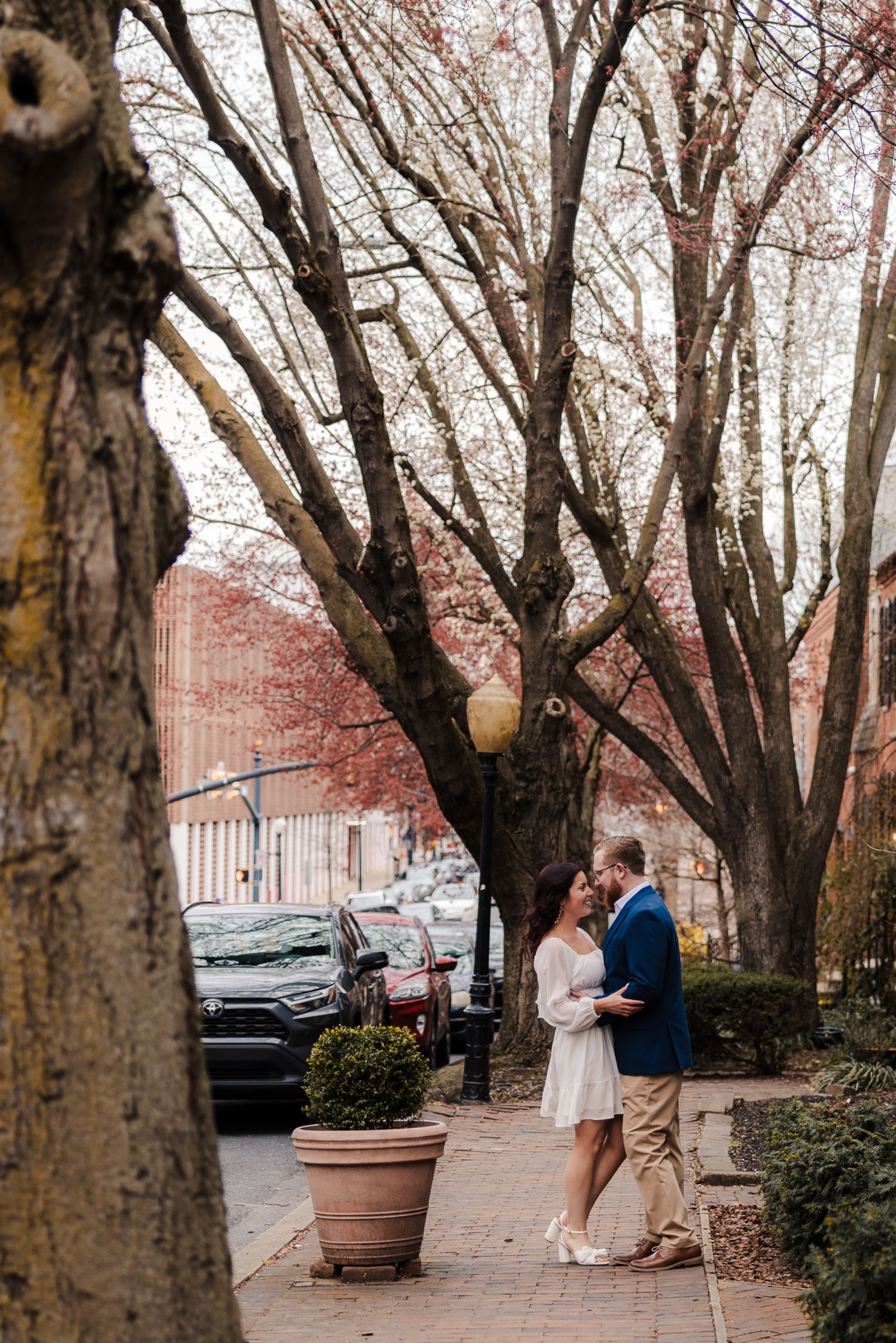 Couple sharing a moment beneath blossoming trees along a quaint sidewalk in Lancaster’s historic downtown.