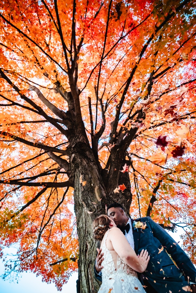 Bride and groom share a kiss beneath a vibrant orange autumn tree with falling leaves during their Pennsylvania wedding portraits.
